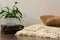 Stylish brightly part of living room with old vintage suitcase, potted plant and woolen handmade blanket on luxury wooden floor