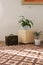 Stylish brightly part of living room with old vintage suitcase and potted plants, traditional handmade carpet