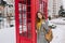Stylish british portrait of charming young woman with long brunette hair walking on street near red telephone box on