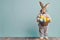stylish bunny wearing sports suit holding eggs basket, standing against plan background, Easter eggs in a basket with a bunny