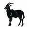 Stylish Chiaroscuro Goat Silhouette - Vector Primitive Drawing