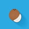 Stylish Coconut Isolated On Blue Background