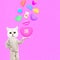 Stylish collage banner. Funny Cats character in pink love sweety space. St. Valentine`s Day,  date, Ideal for the holidays and