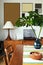 Stylish composition of home gallery wall at living room interior with tropical leaf in vase, table, cabinet, lamp.
