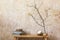 Stylish composition at living room interior with design clock, wooden bench, dried flowers in vase, grunge wall.