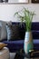 Stylish composition at living room interior with grey pouf, velvet sofa, pillows, coffee table, tropical leaf in vase, marble tray