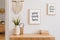 Stylish composition of modern hall interior with elements of rustic and boho style with two mock up poster frames, wooden commode.