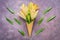 Stylish composition of yellow lily flowers in a waffle cone, scattered green leaves on a rustic purple background.Flat lay , copy