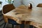 Stylish compositon of craft oak wooden table with chairs, copper watering can and modern floor in beautiful orangery.