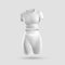 Stylish compression underwear mockup, crop top, high waist shorts, front view, sportswear 3D rendering