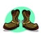 Stylish Cowboy Boots with Spurs
