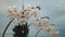 Stylish crystal chandelier hanging over the festive table as a decoration in outdoor wedding, cloudy sky, cloudy weather