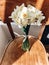 Stylish daffodils on rustic wooden chair in sunny light. Fresh yellow flowers bouquet on chair, countryside still life. Hello