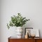 Stylish decorations on wooden sideboard, close-up