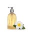 Stylish dispenser with liquid soap and flower on white background