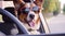 Stylish dog in sunglasses driving a car.