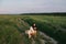 Stylish elegant girl sitting on rustic chair in summer meadow in evening. Fashionable young woman relaxing in field, tranquil