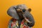 a stylish Elephant wearing sunglasses and summer suit on color background, animal funny pop art