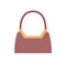 Stylish Expensive Female Handbag of Brown Leather
