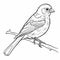 Stylish Finch Coloring Pages For Children