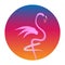 Stylish flat design flamingo Icon. Vector silhouette of flamingo. Name design for the company.