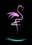 Stylish flat design flamingo Icon. Vector silhouette of flamingo. Name design for the company. isolated