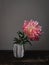 Stylish flower still life, moody artistic composition. Beautiful pink peony in vase in sunlight on rustic background. Floral