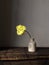 Stylish flower still life, moody artistic composition. Beautiful yellow tulip in vase in sunlight on rustic background. Floral