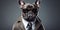 A Stylish French Bulldog Sporting A Trendy Outfit Including A Jacket Tie And Glasses Posing Confiden