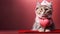 Stylish funny cat wearing fashion pink hoodie on red pink background