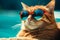 Stylish and funny, ginger cat in sunglasses charms in closeup