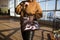 A stylish girl in a brown sweater, black pants with a large women& x27;s bag poses against the background of large panoramic
