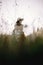 Stylish girl in rustic dress and hat sitting among wildflowers and herbs in sunny meadow  in mountains. Boho woman relaxing in