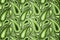 Stylish green paisley background