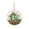 Stylish hanging glass florarium isolated on white background. Glass terrarium with succulents in modern scandinavian