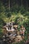 Stylish hipster girl holding fern leaf and relaxing in forest in mountains. Young woman traveler exploring waterfall woods. Eco