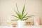 Stylish home interior mockup photo frame. Aloe vera plant and household items