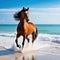 Stylish horse enjoying beach vacation with ocean