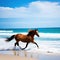 Stylish horse enjoying beach vacation with ocean