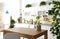 Stylish kitchen interior with green plants. Home