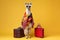 stylish Lama Traveler with two suitcases on a yellow background, Generative AI