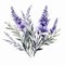 Stylish Lavender Watercolor Clipart On White Background