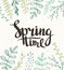 Stylish lettering Spring timewith plants. Vector illustration.