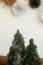 Stylish little fir trees on wooden table on background of paper swedish stars on wall. Christmas advent. Handmade winter decor.