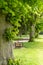 Stylish lonely empty bench in summer park