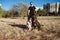 Stylish man in sunglasses walks two dogs on a leash. Staffordshire Terrier and Pit Bull walk in the park with their owner