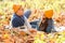 Stylish man and woman lying among autumn leaves