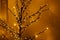 Stylish minimalist glowing tree in evening cozy room. Scandinavian christmas decor, minimal modern black tree branches golden