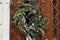 Stylish modern christmas wreath with cedar branches and herbs on door behind grating. Closed shop. Christmas festive street decor