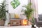 Stylish modern  interior with exotic houseplants